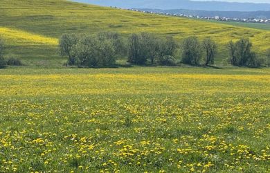 Szántóföld az eladás a Poprad