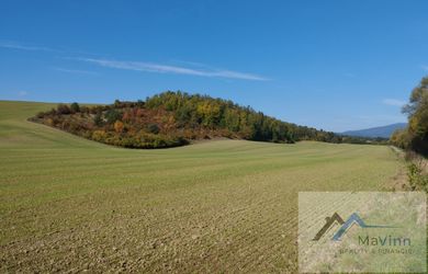 Erdei terület az eladás a Podlužany